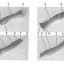 Existe-t-il  une hiérarchisation des caractéristiques fonctionnelles et des caractéristiques non fonctionnelles de la marque tridimensionnelle pour en apprécier la validité ?